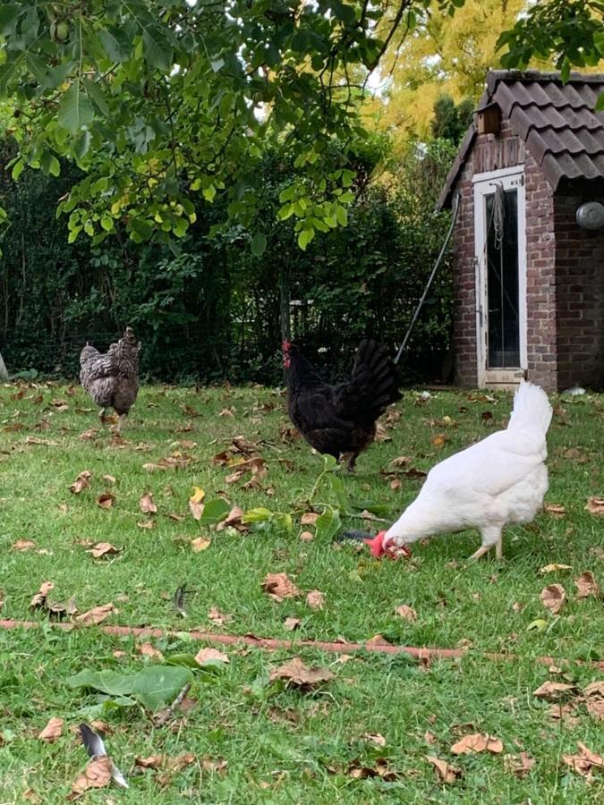 Leuk Vakantiehuisje 6P Brunssum Dış mekan fotoğraf